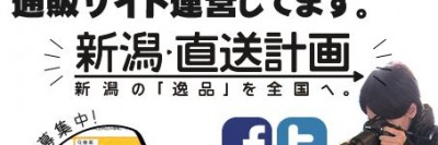 ロゴをふわふわさせてみました